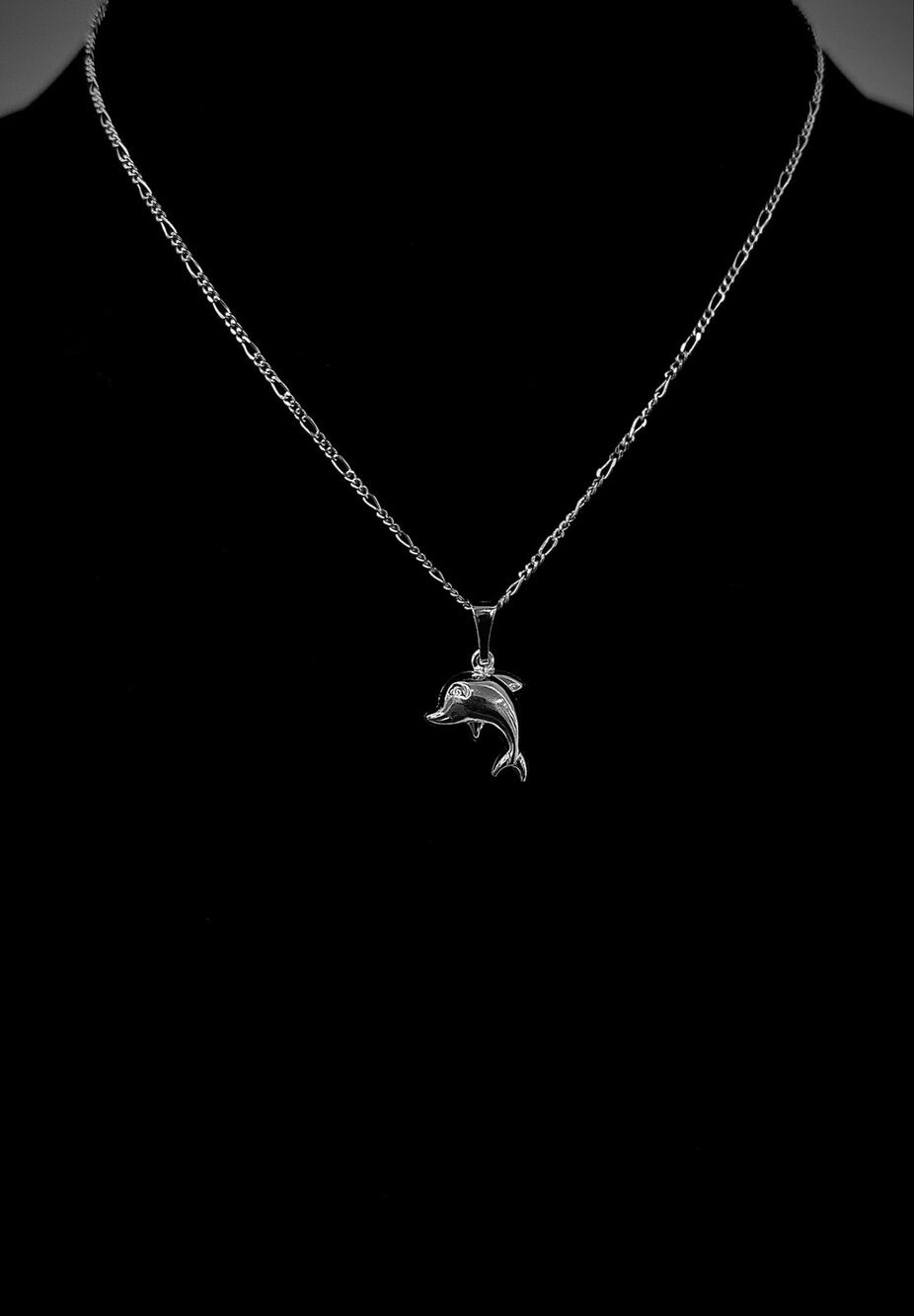 Dolphin Pendant Figaro Chain Necklace